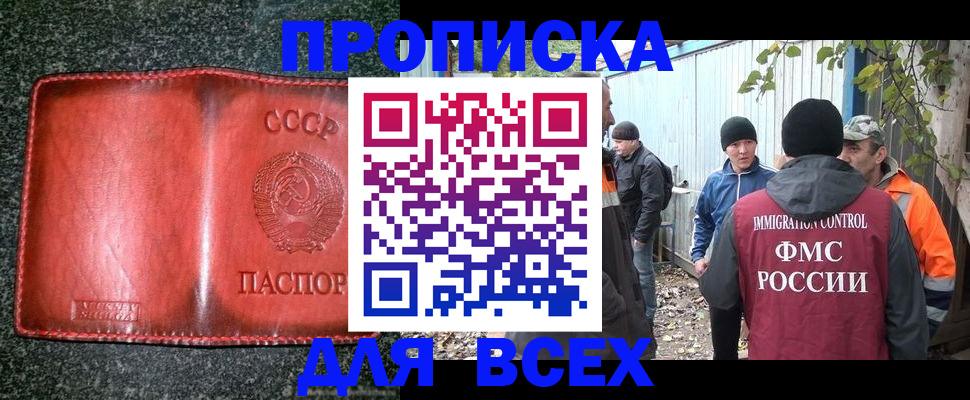 временная регистрация поиск в Бородино